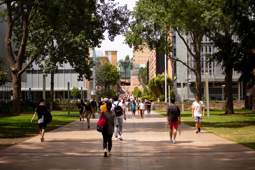 unsw sydney australias global university