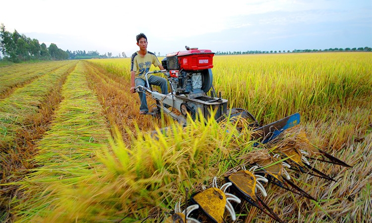 New top-level coordinating body to provide boost for Mekong Delta provinces new top level coordinating body to provide boost for mekong delta provinces
