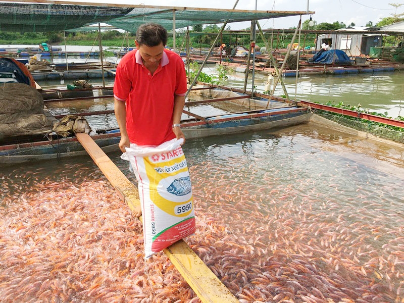 New top-level coordinating body to provide boost for Mekong Delta provinces new top level coordinating body to provide boost for mekong delta provinces