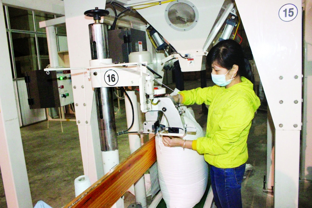 bright eight month export picture for domestic firms