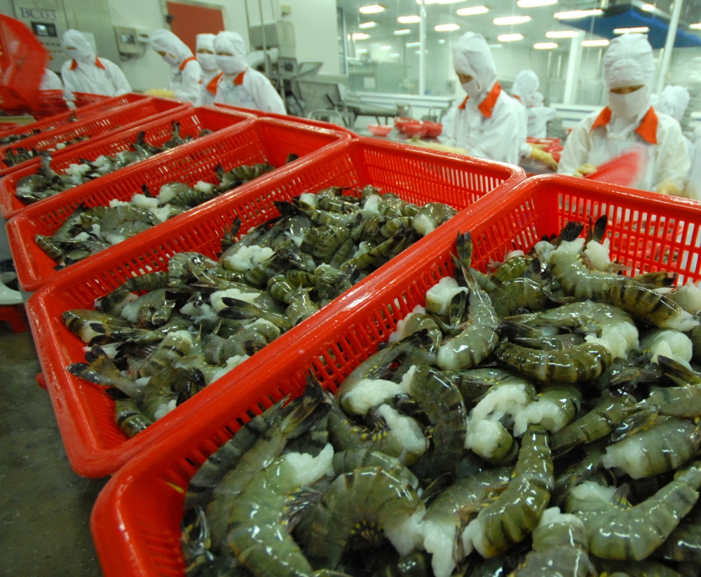 shrimp exports expected to recover