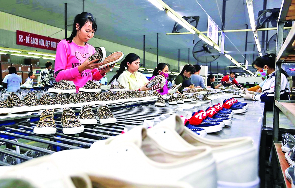 vietnam argentina trade untapped potential