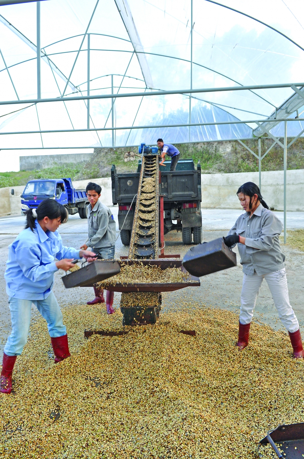 Trade treaty with EU to benefit Vietnam’s agriculture trade treaty with eu to benefit vietnams agriculture