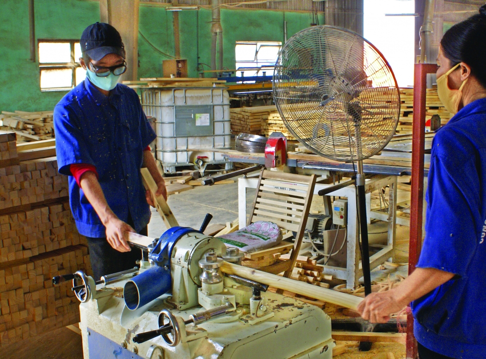kien giang province boosts rural industrial development