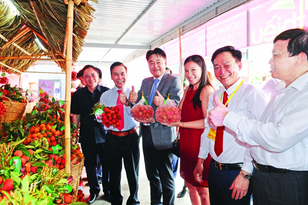 Vietnam, South Africa plan trade increase vietnam south africa plan trade increase