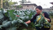 Những cựu chiến binh vượt khó nơi xã nghèo của thị xã Nghĩa Lộ