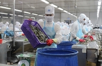 Xuất khẩu thủy sản năm 2019: Tận dụng cơ hội bứt phá