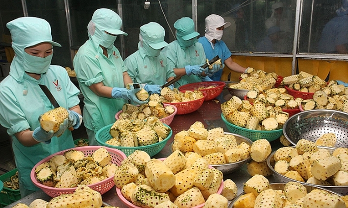 tiep can thi truong dubai co hoi xuat khau sang trung dong chau phi