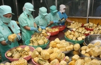 Tiếp cận thị trường Dubai: Cơ hội xuất khẩu sang Trung Đông, châu Phi