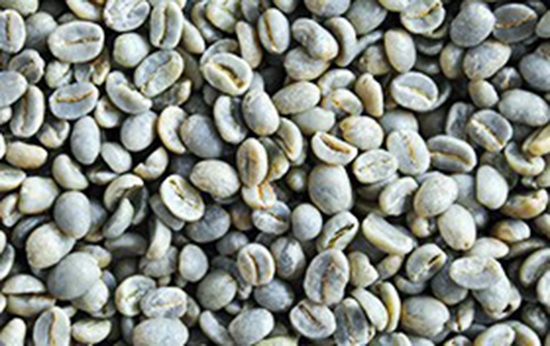 ca phe van la mat hang xuat khau so 1 cua viet nam vao algeria nam 2018