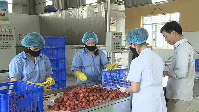 bac giang doi moi can ban hoat dong thuong mai