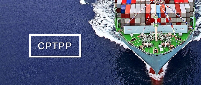 thuc thi cptpp doanh nghiep can chuan bi nhu the nao cho chung nhan xuat xu hang hoa