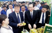 Ngành Công Thương: Tích cực chuẩn bị nguồn cung hàng hóa phục vụ nhân dân đón Tết Kỷ Hợi 2019