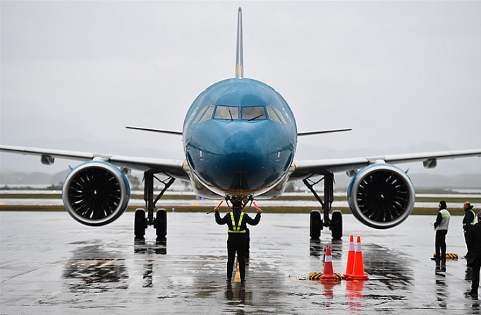 da co roi ngai gi vat can