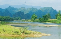 Cảm xúc