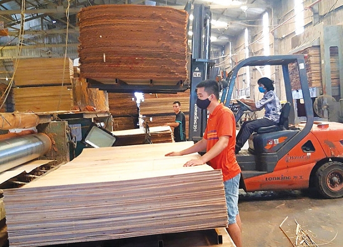 Chống lẩn tránh biện pháp phòng vệ thương mại và gian lận xuất xứ: Chuyển biến mạnh mẽ từ Đề án 824 chong lan tranh bien phap phong ve thuong mai va gian lan xuat xu chuyen bien manh me tu de an 824