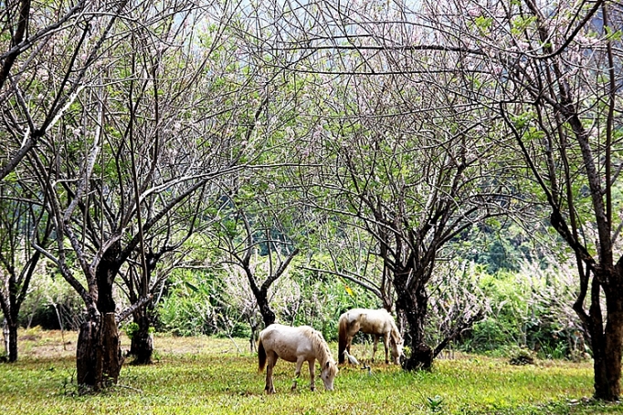 thac yangbay vung dat huyen thoai