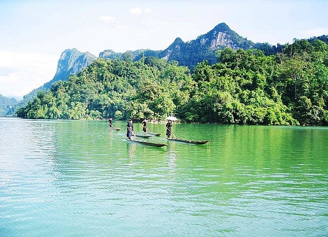 co gai tra vinh lam dau bac kan
