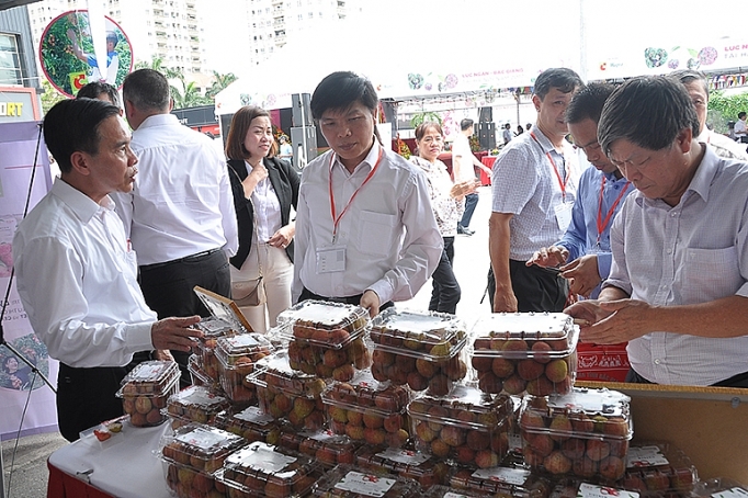vai thieu chinh danh sang nhat