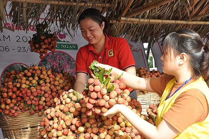 vai thieu chinh danh sang nhat