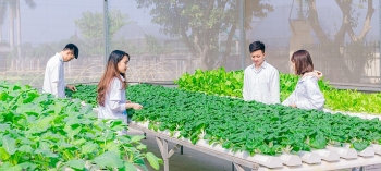 Nông nghiệp ngóng “sóng” đầu tư