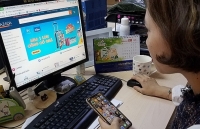 Phát triển thương mại điện tử: Khắc phục lỗ hổng chính sách