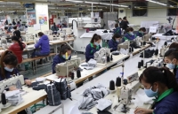 Hàng loạt doanh nghiệp dừng hoạt động vì Covid-19