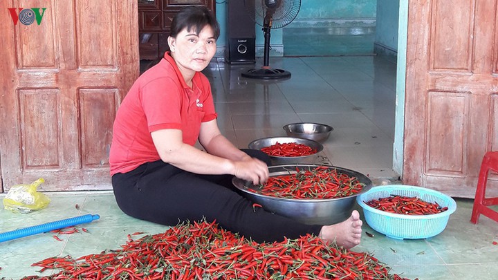 ot mat gia con 8000 dongkg nong dan de ot chin kho ngoai dong