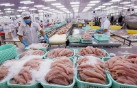 Xuất khẩu thủy sản sang Trung Quốc: Theo sát diễn biến thị trường