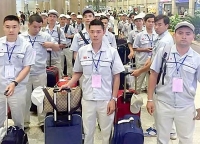 Hơn 4.000 lao động Việt Nam trong vùng dịch Covid 19 tại Hàn Quốc