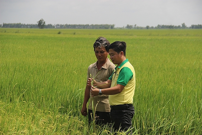 doi pho han man van de khong cua rieng nong dan