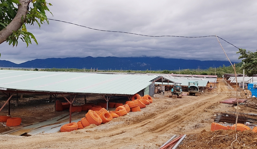 thực hiện quy hoạch vùng năng lượng sạch- điện mặt trời áp mái tại Cam Thị Đông- Bắc Cam Ranh thực hiện quy hoạch vùng năng lượng sạch- điện mặt trời áp mái tại Cam Thị Đông- Bắc Cam Ranh