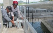 Bài học lớn từ vụ việc hồ Suối Vực - Phú Yên