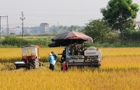 Đồng bằng sông Cửu Long thích ứng với biến đổi khí hậu: Cơ khí hóa -
