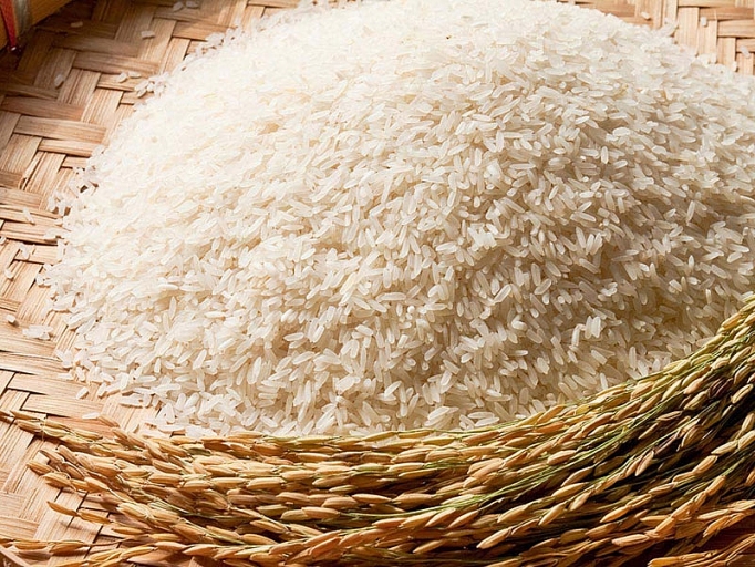 Nông dân Philippines có thể tổn thất 4 tỷ USD khi thuế suất bằng 0 trong ASEAN nong dan philippines co the ton that 4 ty usd khi thue suat bang 0 trong asean