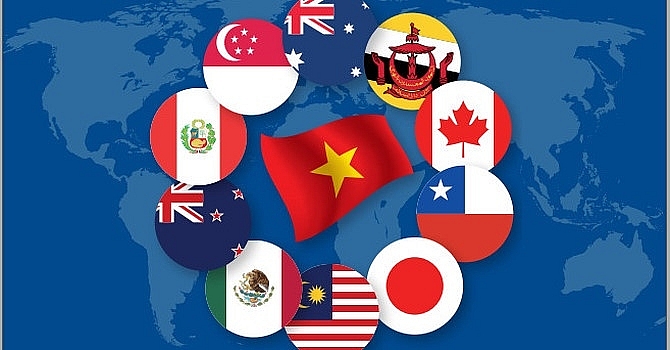 Thực thi CPTPP và các vấn đề liên quan đến hải quan đối với Việt Nam thuc thi cptpp va cac van de lien quan den hai quan doi voi viet nam