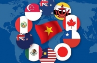 Thực thi CPTPP và các vấn đề liên quan đến hải quan đối với Việt Nam