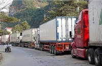 Xuất khẩu rau, quả hướng tới mục tiêu 5 tỷ USDnăm 2020: Có khả thi?