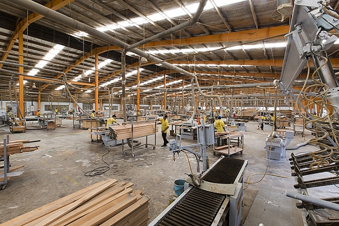 nganh goc lay xuc tien thuong mai lam trong tam