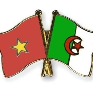 Cơ hội thúc đẩy trao đổi thương mại Việt Nam - Algeria co hoi thuc day trao doi thuong mai viet nam algeria