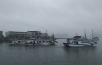 52 người đi cùng chuyến bay với bênh nhân nhiễm Covid 19 thứ 17 từng đến Quảng Ninh