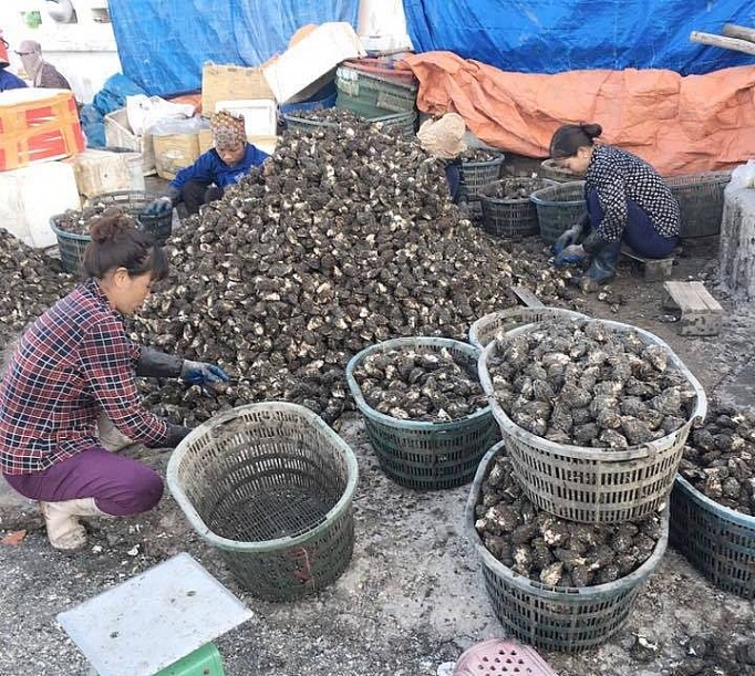 quang ninh tim giai phap tieu thu nong san mua dich covid 19