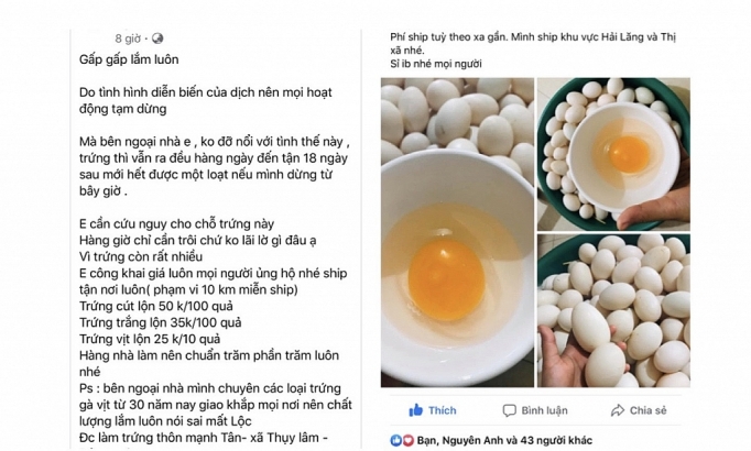 Dân buôn mất mối nhập hàng, nhờ chợ mạng “giải cứu” dan buon mat moi nhap hang nho cho mang giai cuu