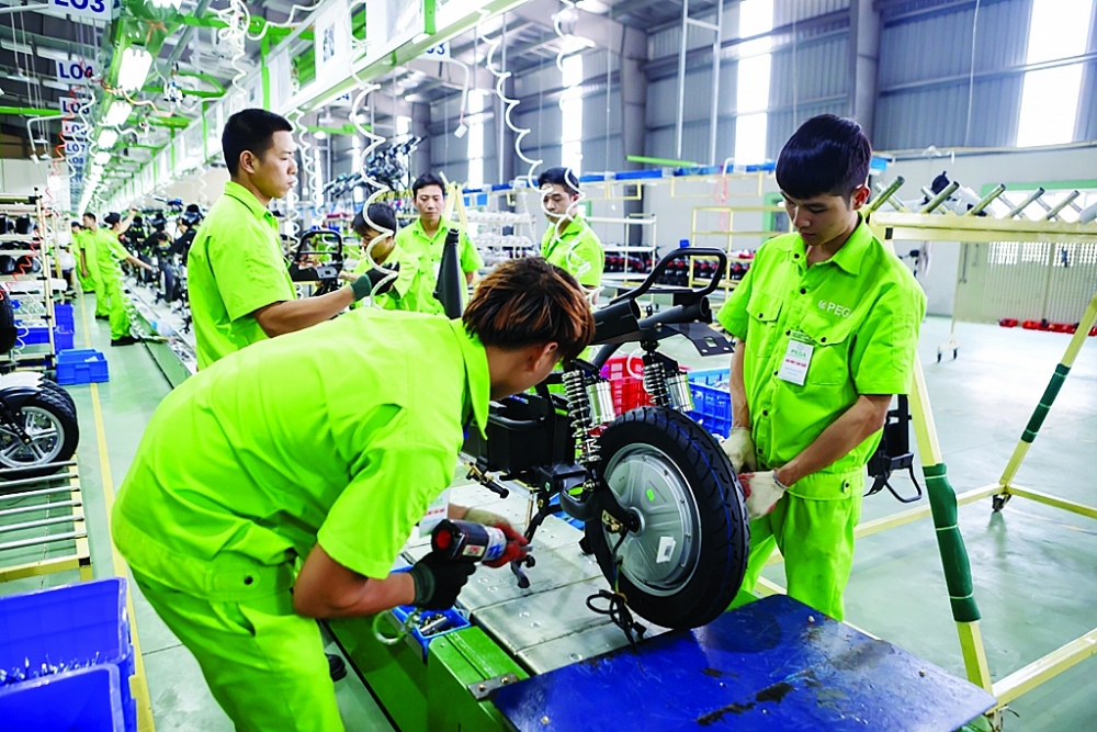 3338-6-4954-nha-may-pegapega-298