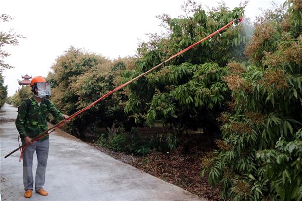 Hai Duong nhanh chong phuc hoi san xuat, kinh doanh sau dich COVID-19 hinh anh 2