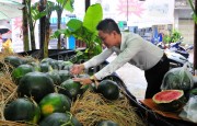 Thanh niên Khánh Hòa “giải cứu” dưa hấu giúp nông dân Quảng Ngãi