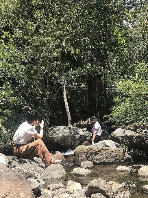 vuon quoc gia phuoc binh ve nghe rung hat