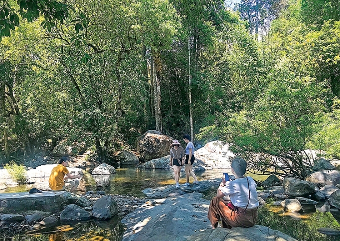 vuon quoc gia phuoc binh ve nghe rung hat