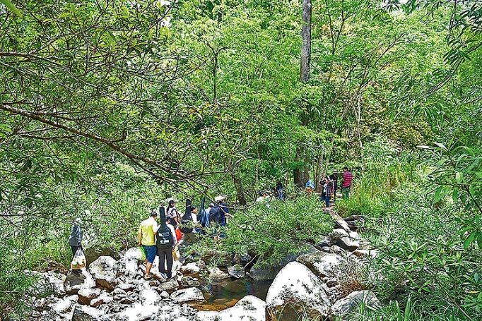 vuon quoc gia phuoc binh ve nghe rung hat