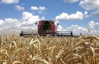 WTO ra phán quyết về tranh chấp của Mỹ đối với hạn ngạch nông sản của Trung Quốc